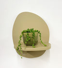 Green Pot