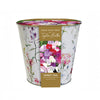 Zinc Floral Sweet Pea Planter