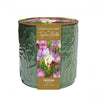Embossed Floral Ceramic Freesia Pot
