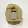 Mini Syngonium Red Heart & Pot