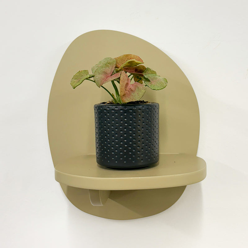 Mini Syngonium Red Heart & Pot