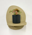 Grey Pot