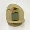 Mini Syngonium Red Heart & Pot