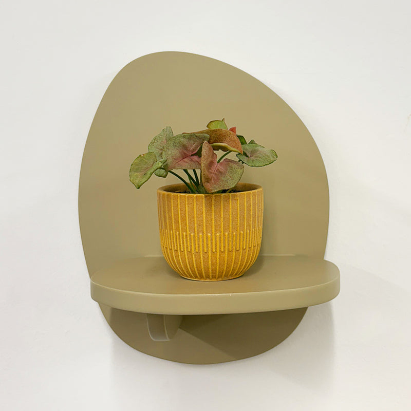 Mini Syngonium Red Heart & Pot