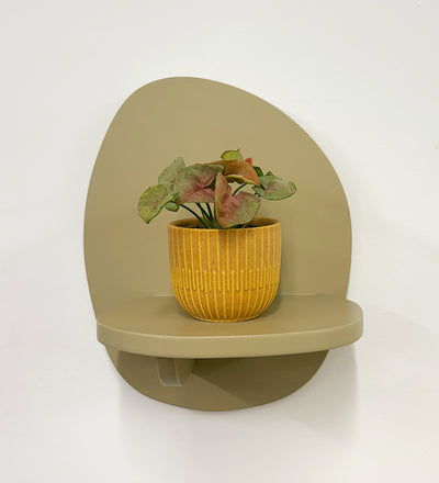 Mini Syngonium Red Heart & Pot