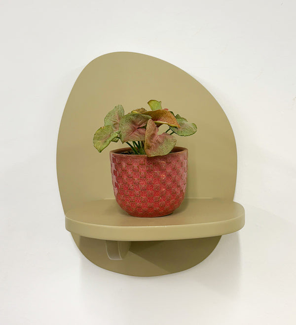 Mini Syngonium Red Heart & Pot