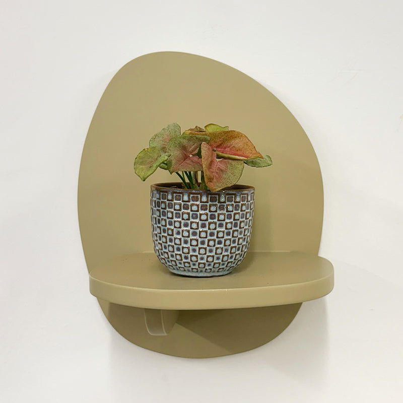 Mini Syngonium Red Heart & Pot