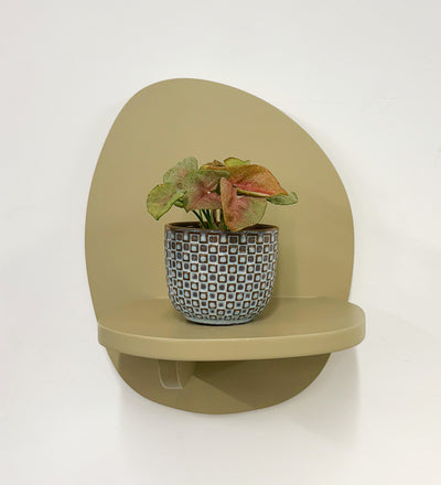 Mini Syngonium Red Heart & Pot