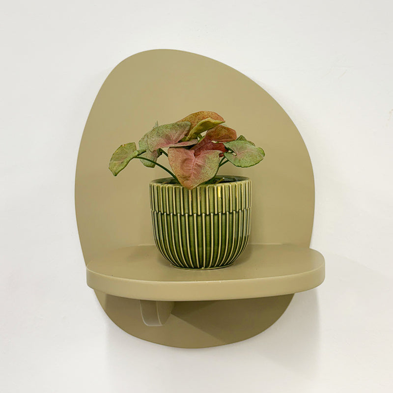 Mini Syngonium Red Heart & Pot