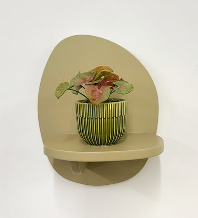 Mini Syngonium Red Heart & Pot