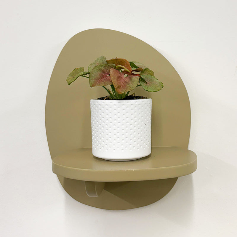 Mini Syngonium Red Heart & Pot