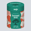 Grow Your Own Bonsai Set