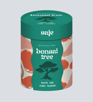 Grow Your Own Bonsai Set