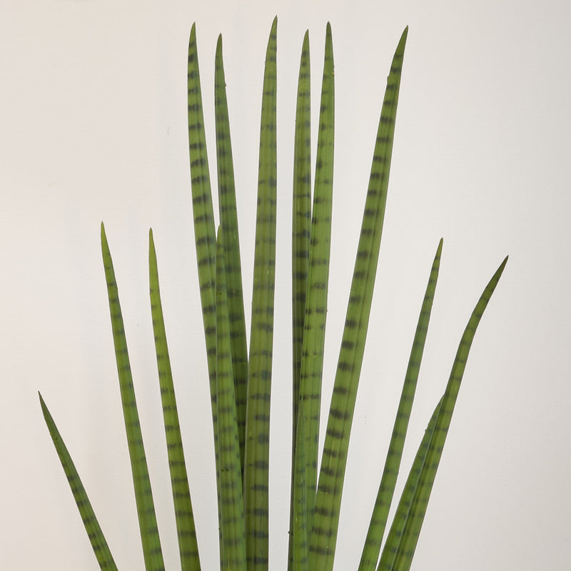 Artificial Sansevieria Cylindrica