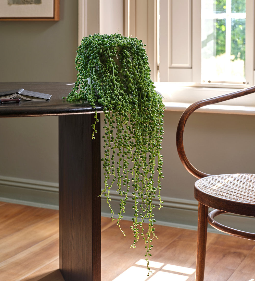 String of Pearls