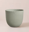 Green Sereh Pot 25cm