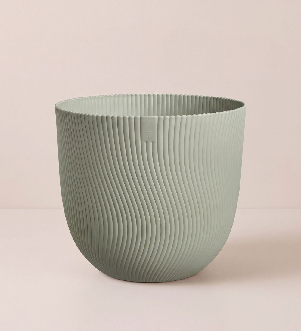 Green Sereh Pot 30cm