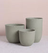 Green Sereh Pot