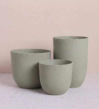 Green Sereh Pot