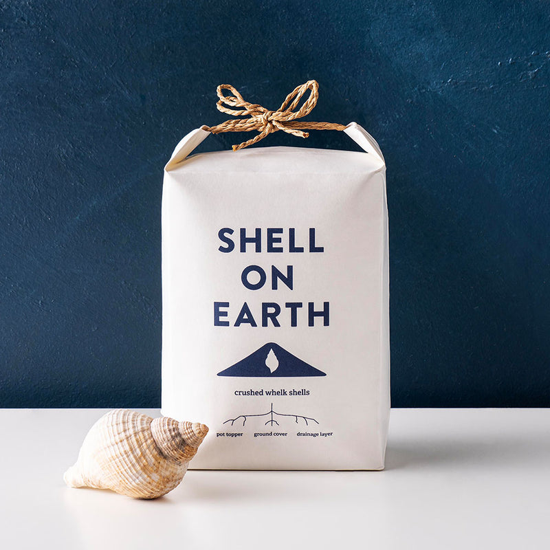 Shell On Earth
