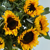 Simply Sunflowers