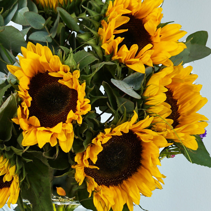 Simply Sunflowers