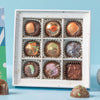 Vegan Collection Box