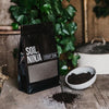 Cacti & succulent blend