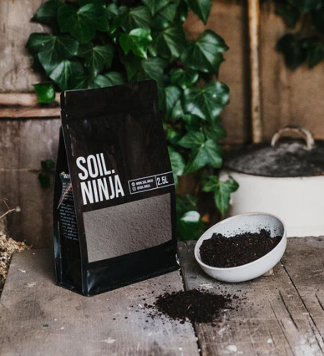 Cacti & succulent blend