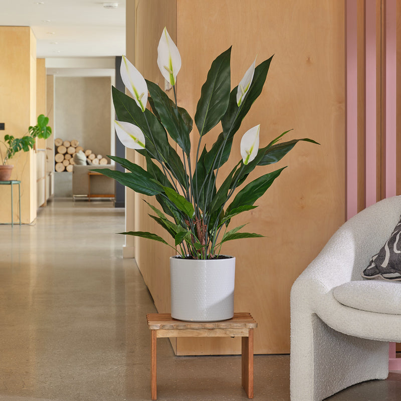Artificial Peace Lily