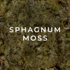 Sphagnum Moss