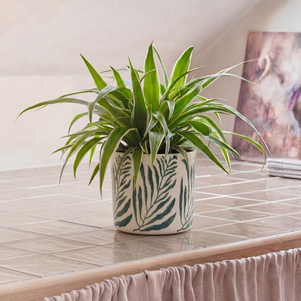 Green Branch Pot 14cm