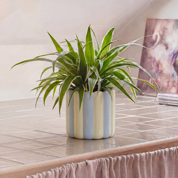 Blue & Green Scallop Striped Ceramic Pot (14cm)