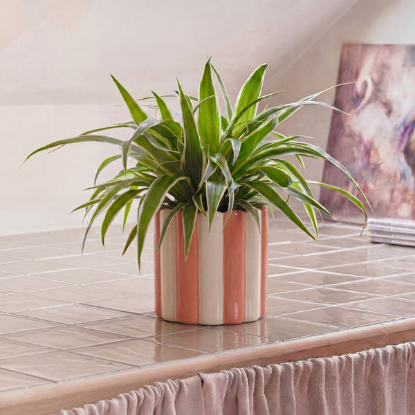 Cream & Coral Scallop Striped Ceramic Pot (14cm)