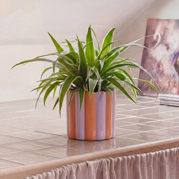 Orange & Fuschia Scallop Striped Ceramic Pot (14cm)
