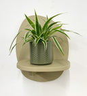 Khaki Pot