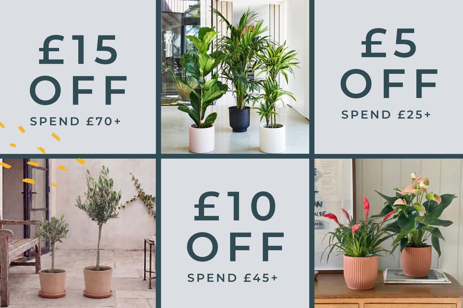 up to £15 off everything