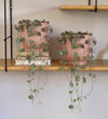 String of Hearts Pair