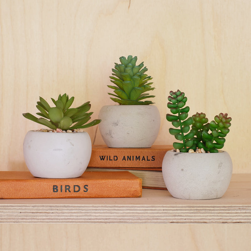 Artificial Mini Succulent & Pot