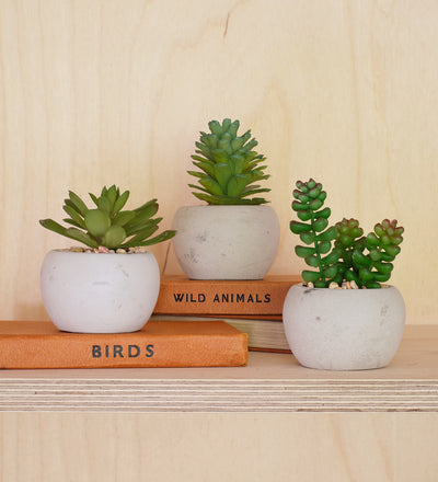 Artificial Mini Succulent & Pot