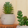 Artificial Mini Succulent & Pot