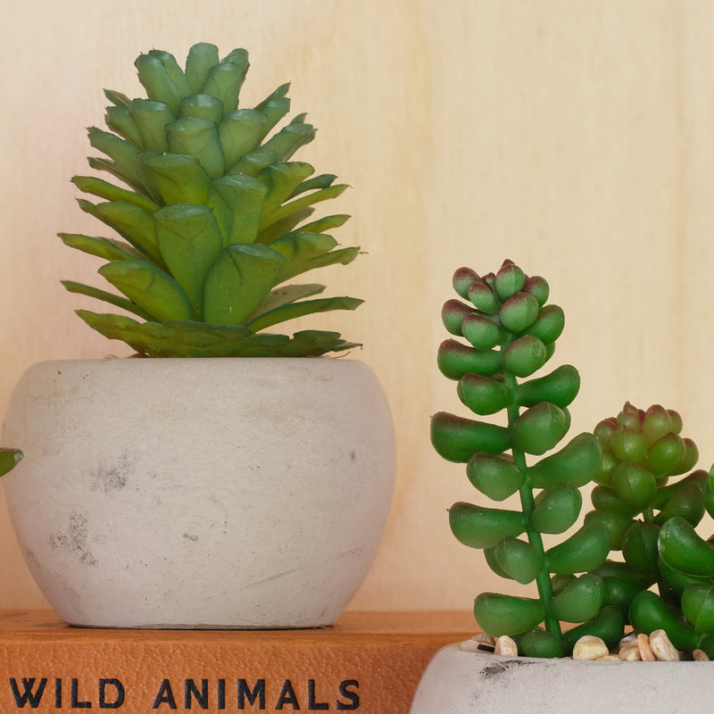 Artificial Mini Succulent & Pot