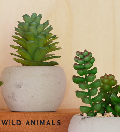 fake succulents uk Artificial Mini Succulent & Pot