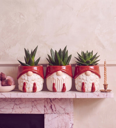 Succulent Trio in Christmas Pots