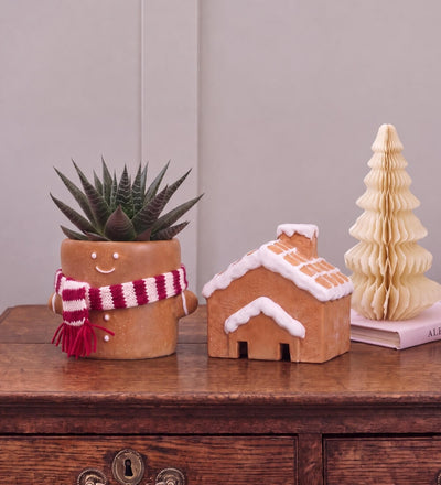Succulent Gingerbread Gift Box