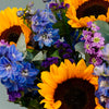Sunflower Dreams