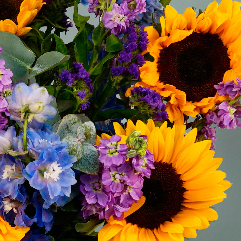 Sunflower Dreams