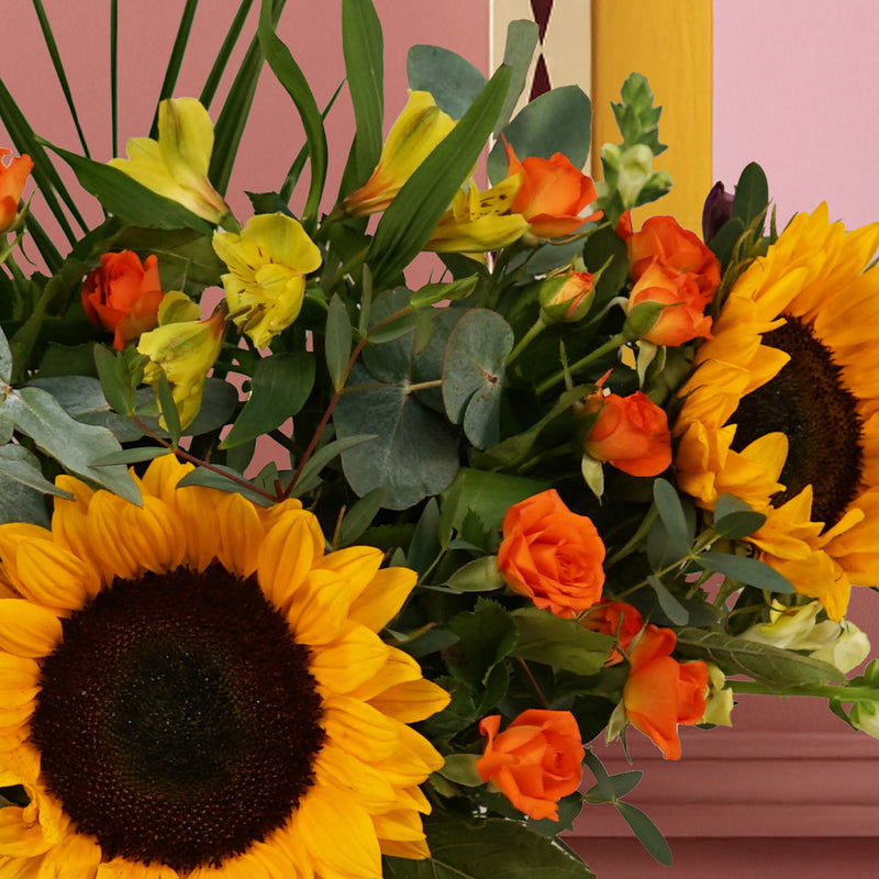 Sunflower Fields