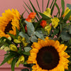 Sunflower Fields