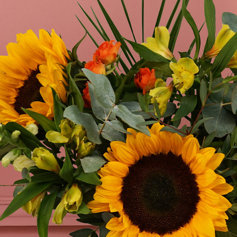Sunflower Fields